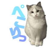 845103715