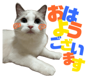 845103735