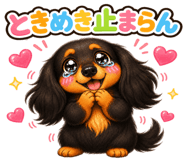 845104062