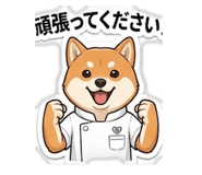 845104530