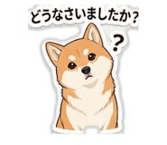 845104687