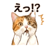 845104944