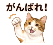 845104960