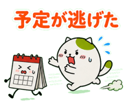 845105135
