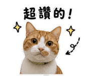 845112342