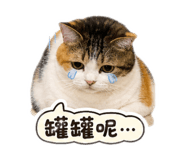 845112434