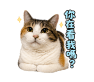 845112440