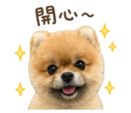 845112899