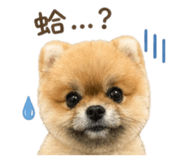 845112905