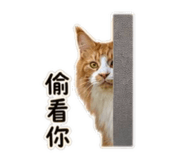 845112999