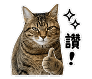 845113422