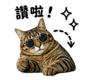 845113423