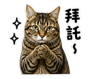 845113426