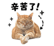 845113475