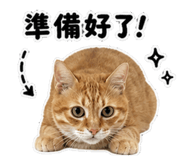 845113485