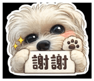 845113530