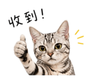845113694