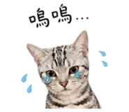 845113700