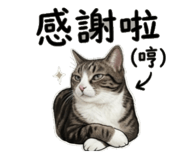 845113906