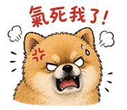 845114592