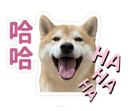 845114719