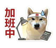 845114726