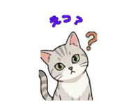 845115065