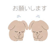 845115244