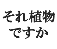 845115352