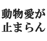 845115365