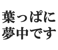 845115374