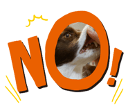 845115794