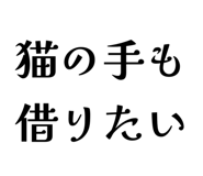 845116262