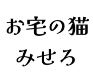845116263