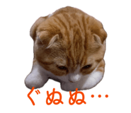 845116386