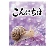 845116577