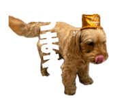 845116597