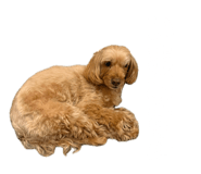 845116600