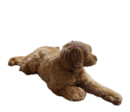 845116617