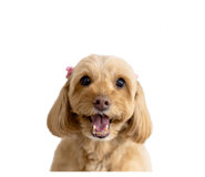 845116621