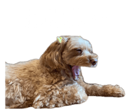 845116622