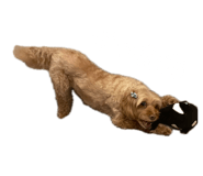 845116631