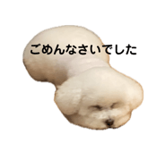 845116727