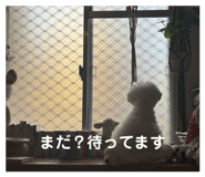 845116731