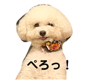 845116734