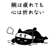 845116856
