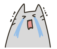 845116944
