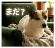 845117130