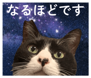 845117713