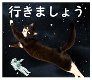 845117722